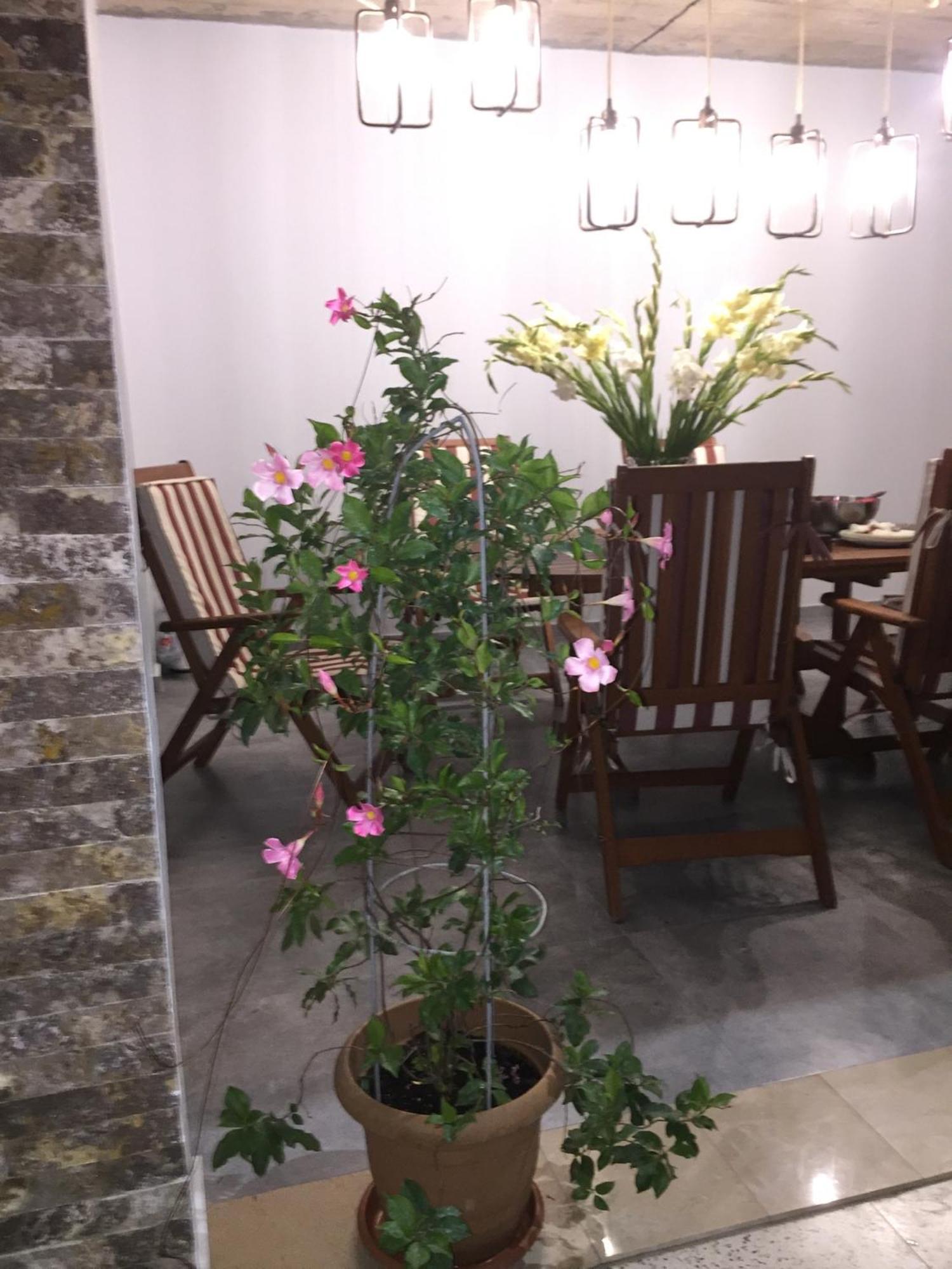 Guest House Smile Kobuleti Luaran gambar